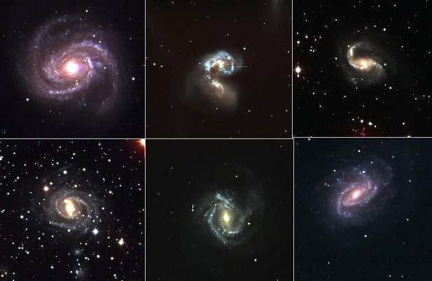 Montage of CSP supernovae