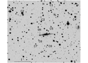 SN2004ev.finder.png