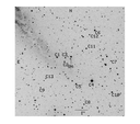 SN2005af.finder.png