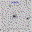 SN2005lr.finder.png