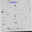 SN2006Y.finder.png