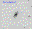 SN2006av.finder.png