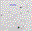 SN2006is.finder.png