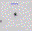 SN2006ms.finder.png