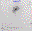 SN2007Y.finder.png