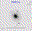 SN2007aa.finder.png