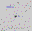 SN2007as.finder.png