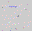 SN2007bd.finder.png