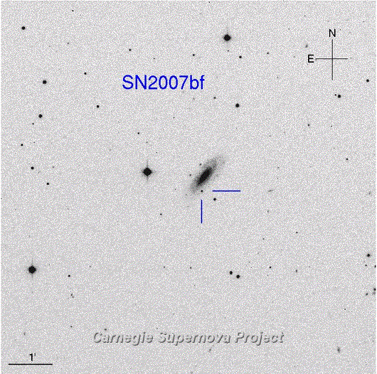 SN2007bf.finder.png