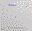 SN2007ca.finder.png