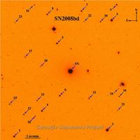 SN2008bd.finder.png