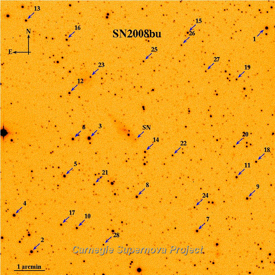 SN2008bu.finder.png