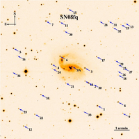 SN2008fq.finder.png