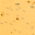 SN2009P.finder.png