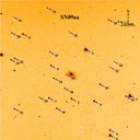 SN2009aa.finder.png