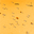SN2009aa.finder.png